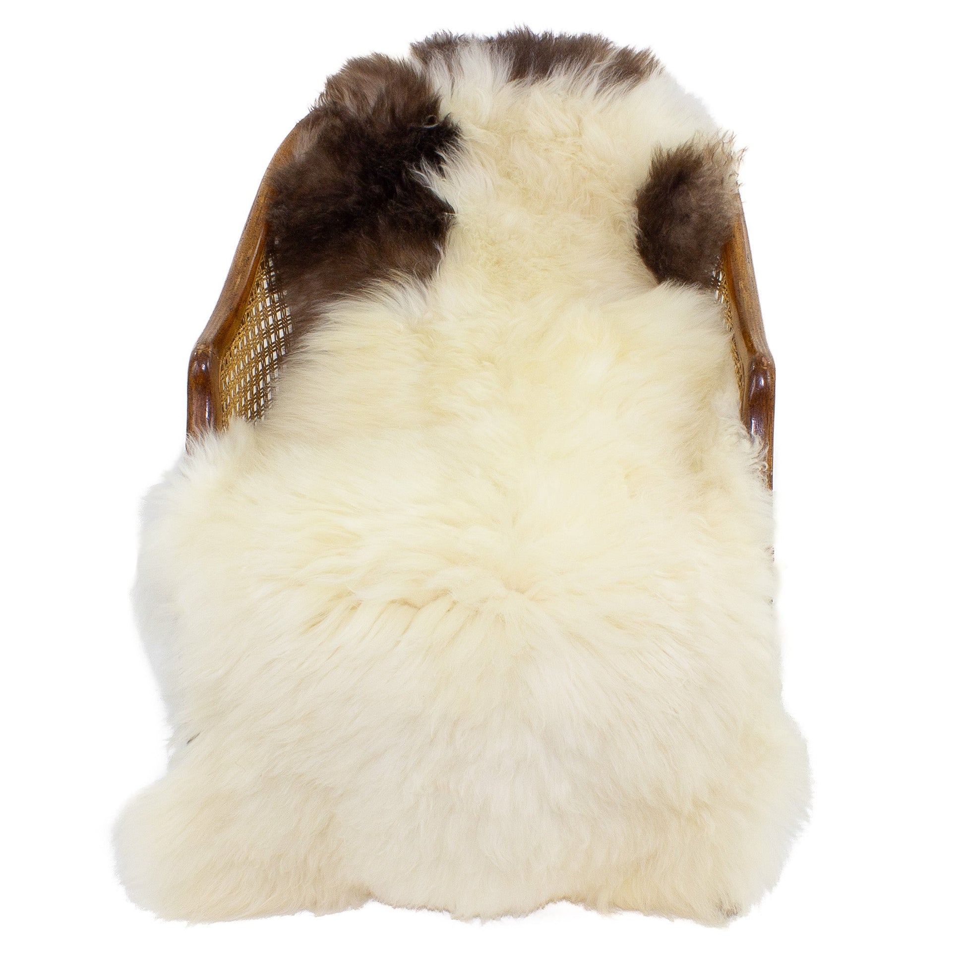 Soft Short Wool Ivory White w Brown Swedish Sheepskin