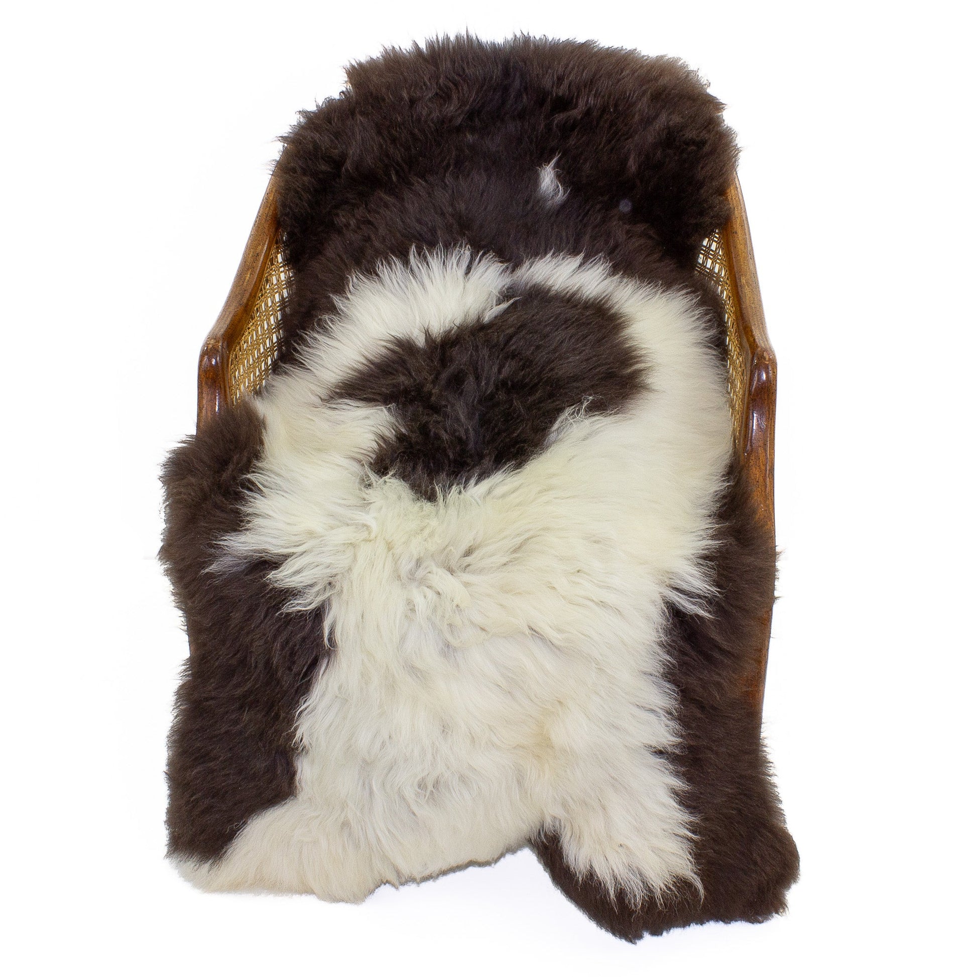 Soft Short Wool White w Brown Swedish Sheepskin