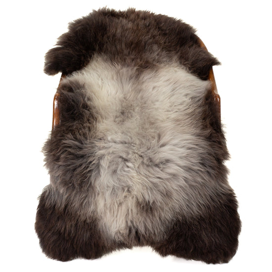 Soft Silver Gray to Dark  Sheepskin