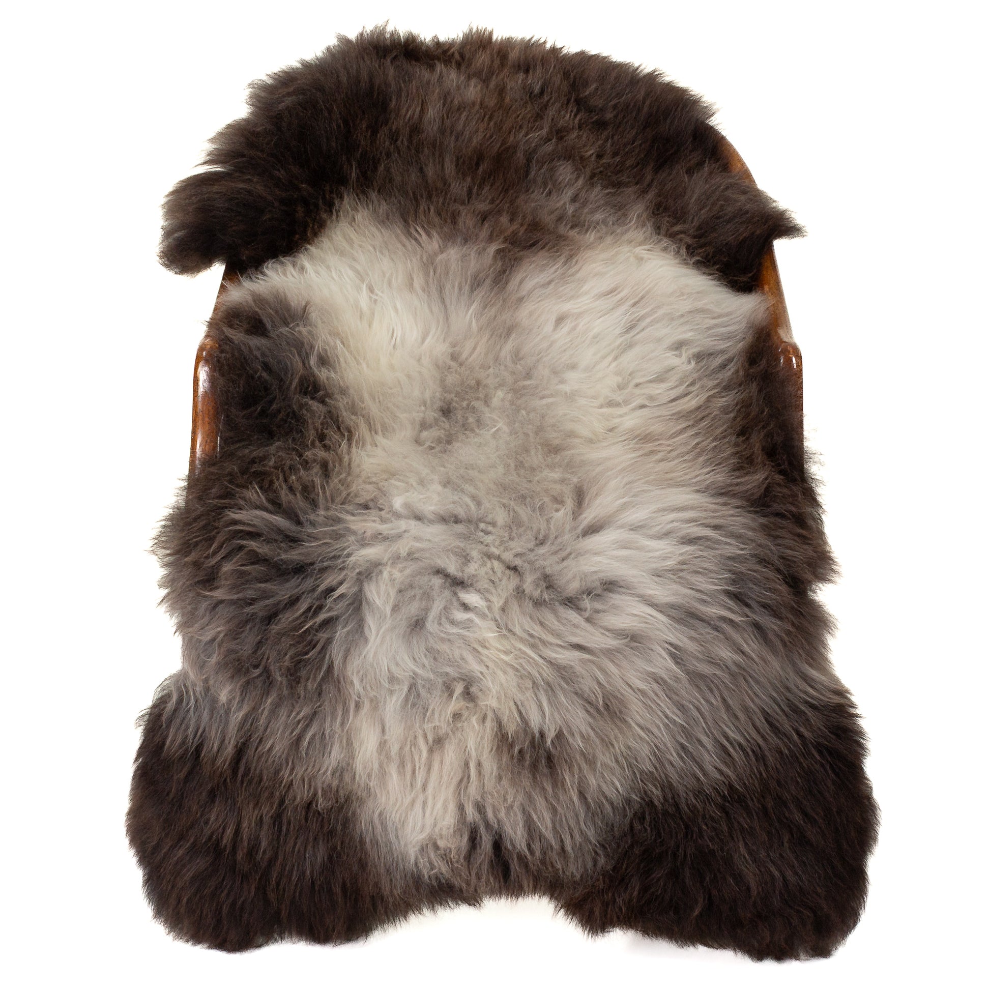 Soft Silver Gray to Dark  Sheepskin