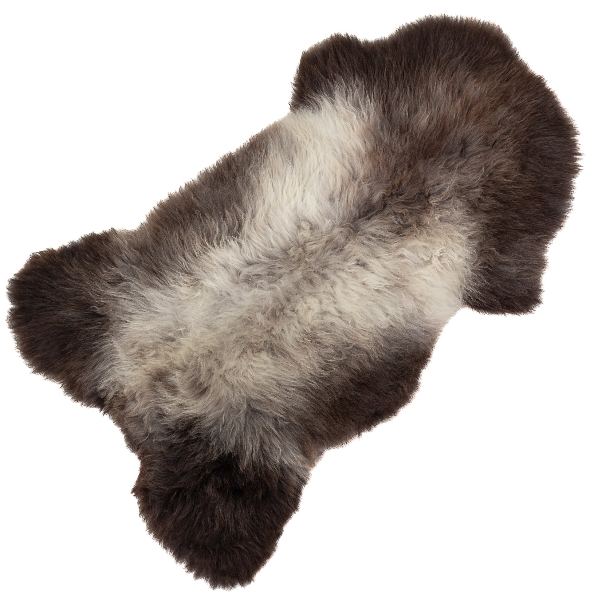 Soft Silver Gray to Dark  Sheepskin Rug