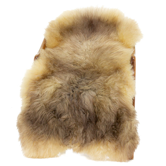 Soft Thick Ivory with Brown Long Wool Swedish Sheepskin