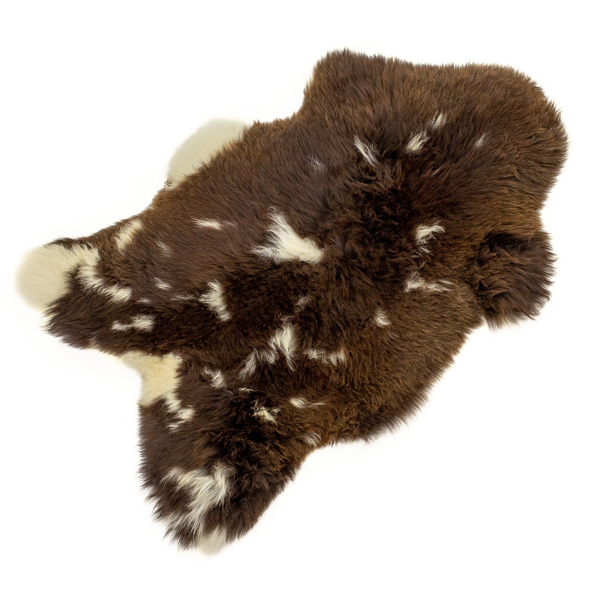 Thick Cushy Brown w White Markings Sheepskin