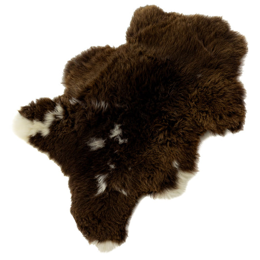 Thick Cushy Brown w White Sheepskin