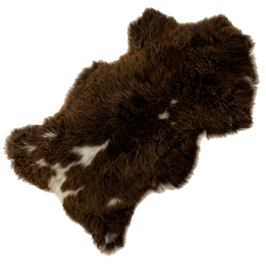 Thick Cushy Brown w White Sheepskin