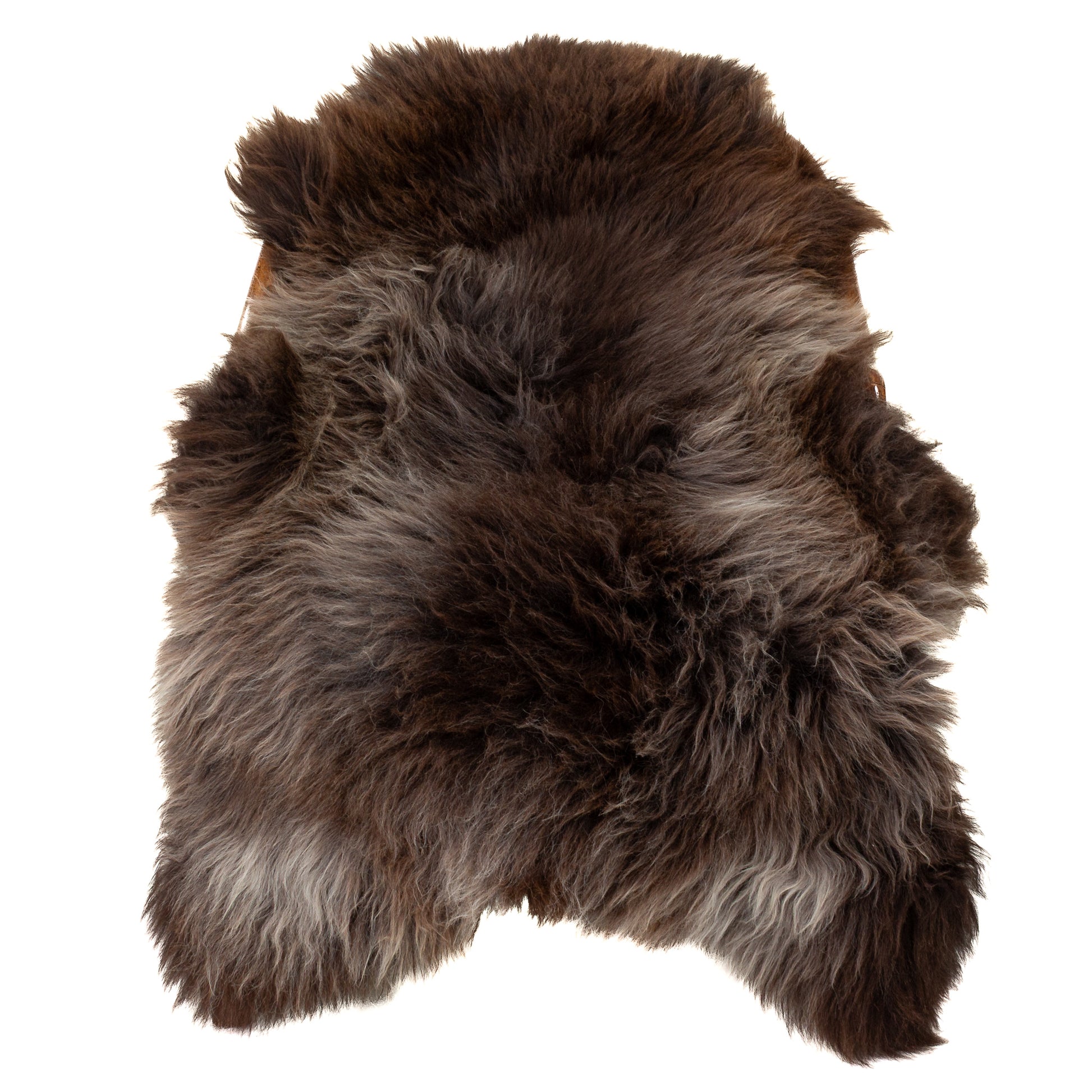 Thick Cushy Brown w White Sheepskin