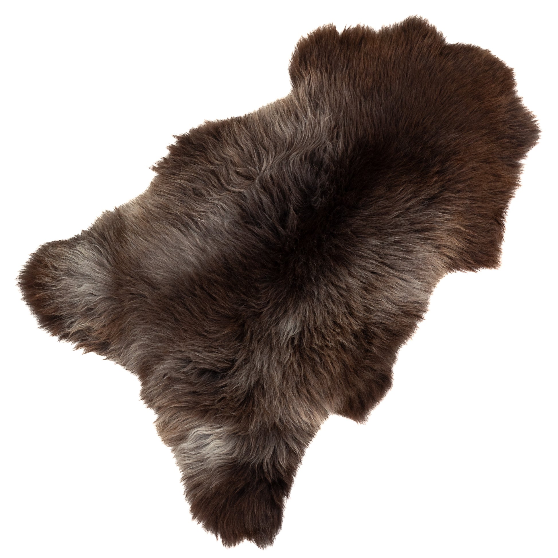 Thick Cushy Brown w White Sheepskin Rug