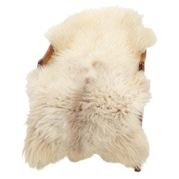 Thick Cushy Coarse Wool White w Dark Heidschnucke Sheepskin