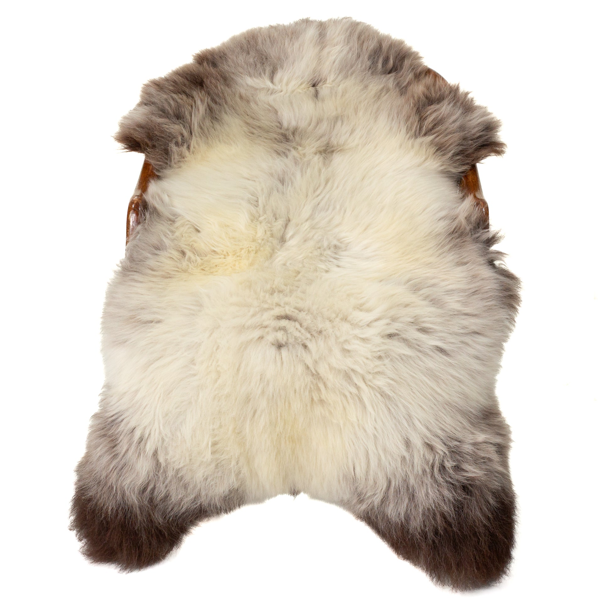 Thick Cushy Creamy White w Dark Edges Sheepskin