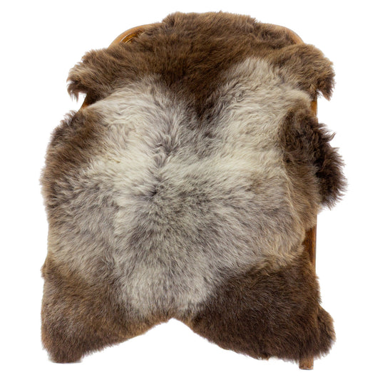 Thick Cushy Silver Gray to Brown Sheepskin