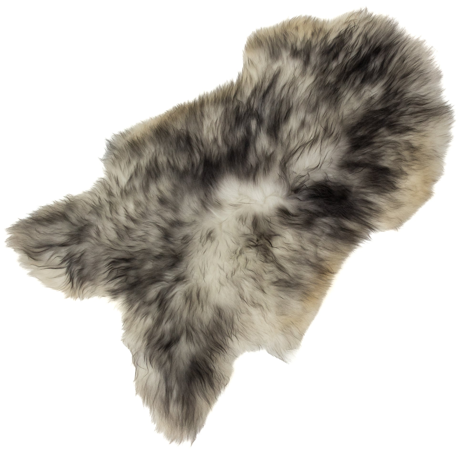 Thick Cushy White w Black Dyed Tips Icelandic Sheepskin Rug