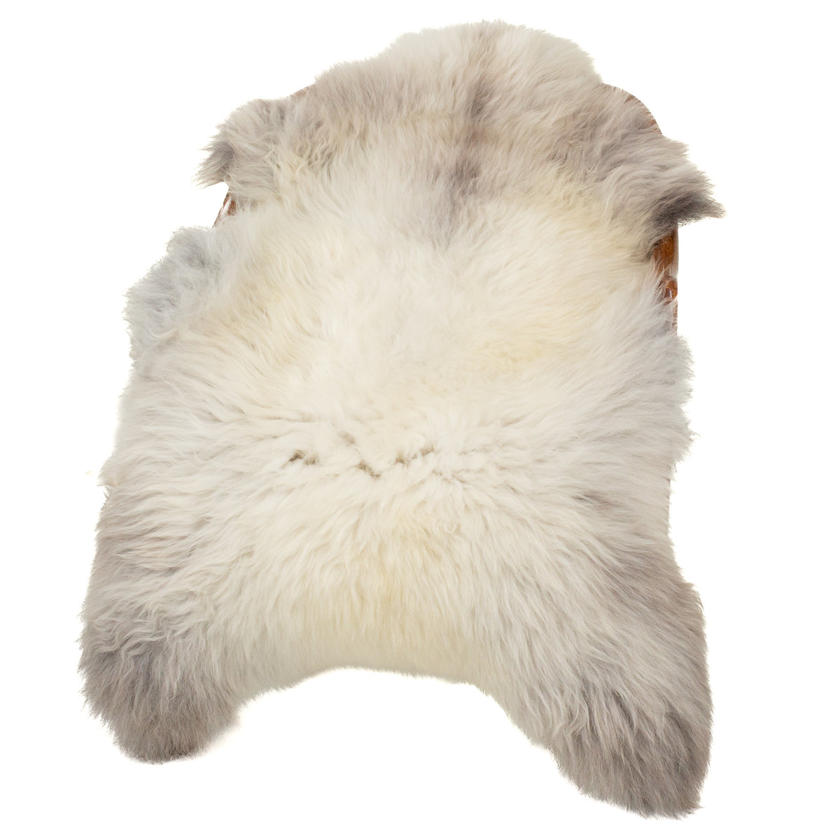 Thick Cushy Ivory White w Gray Sheepskin