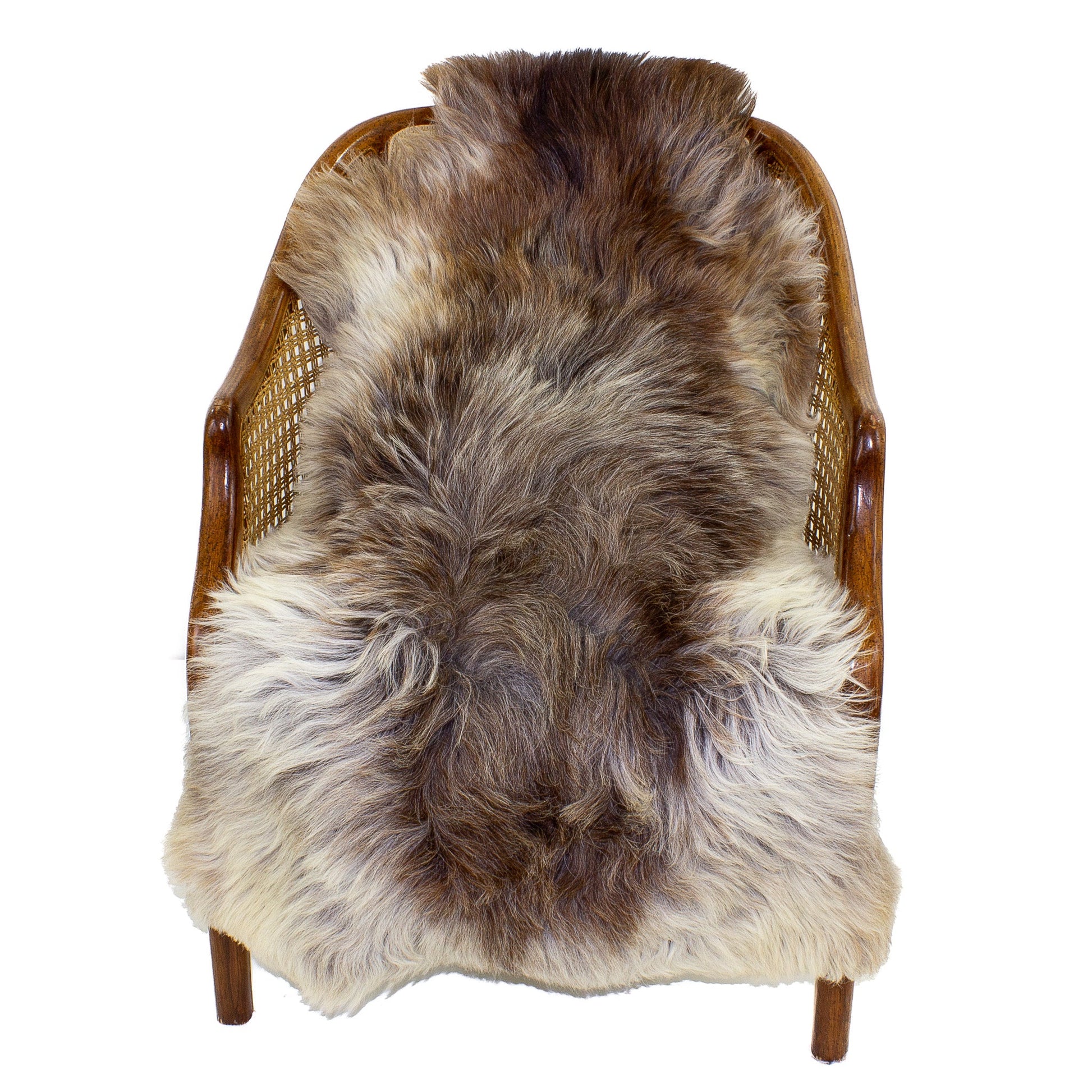 Thick Coarse Wool White w Brown Sheepskin