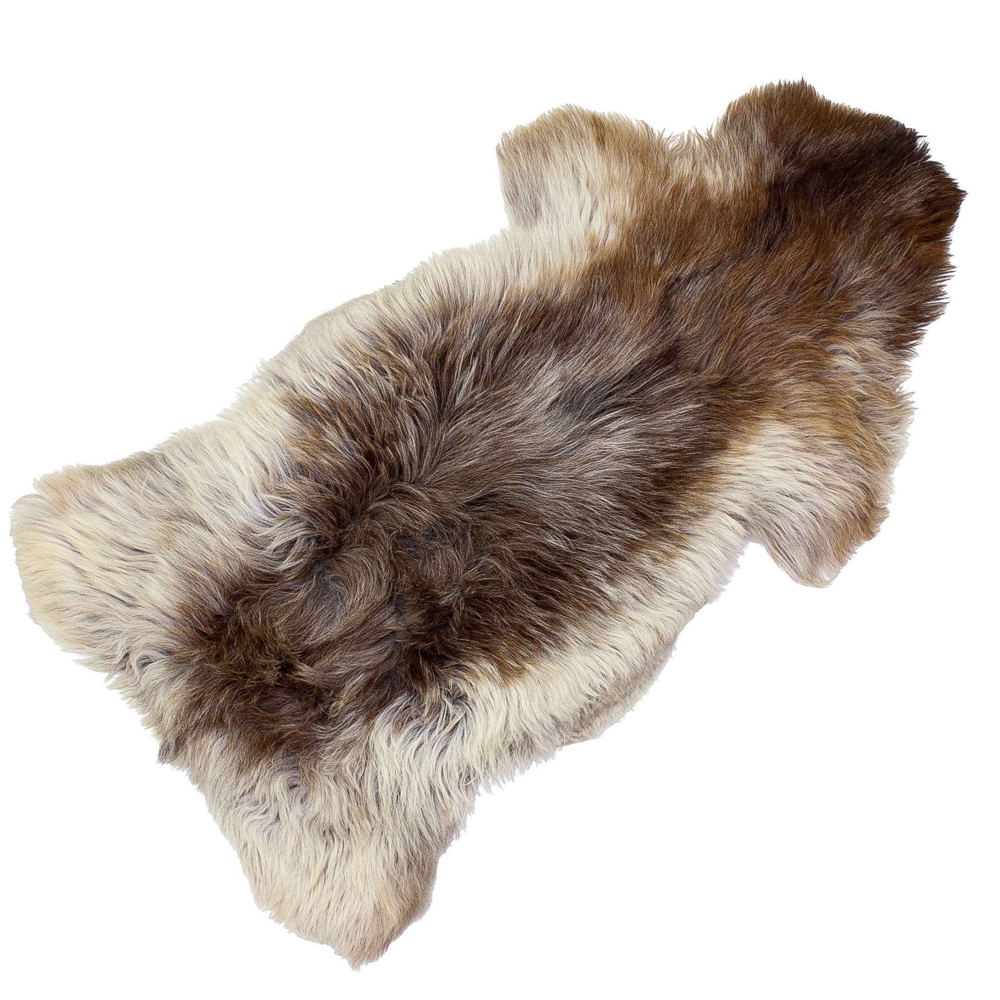 Thick Coarse Wool White w Brown Sheepskin