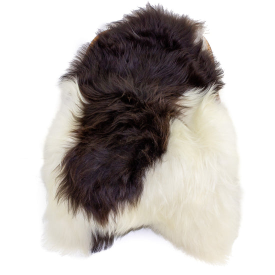 Large Wide White w Black Icelandic Sheepskin