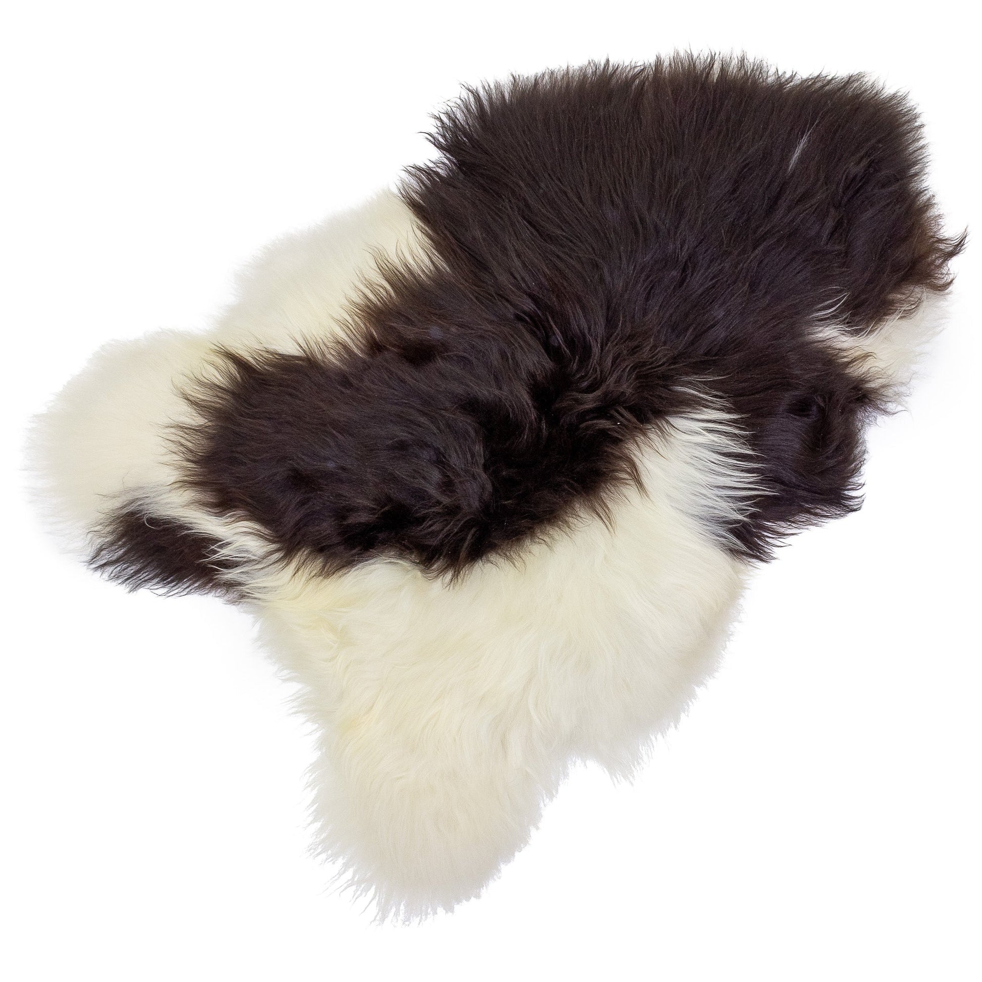 Large Wide White w Black Icelandic Sheepskin