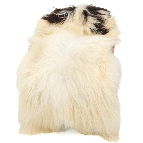 Ivory White w Black Piebald Icelandic Sheepskin