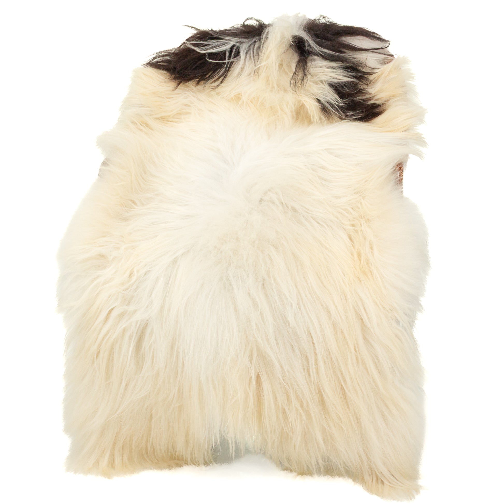 Ivory White w Black Piebald Icelandic Sheepskin