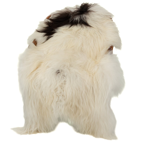 White w Black Spot Icelandic Sheepskin