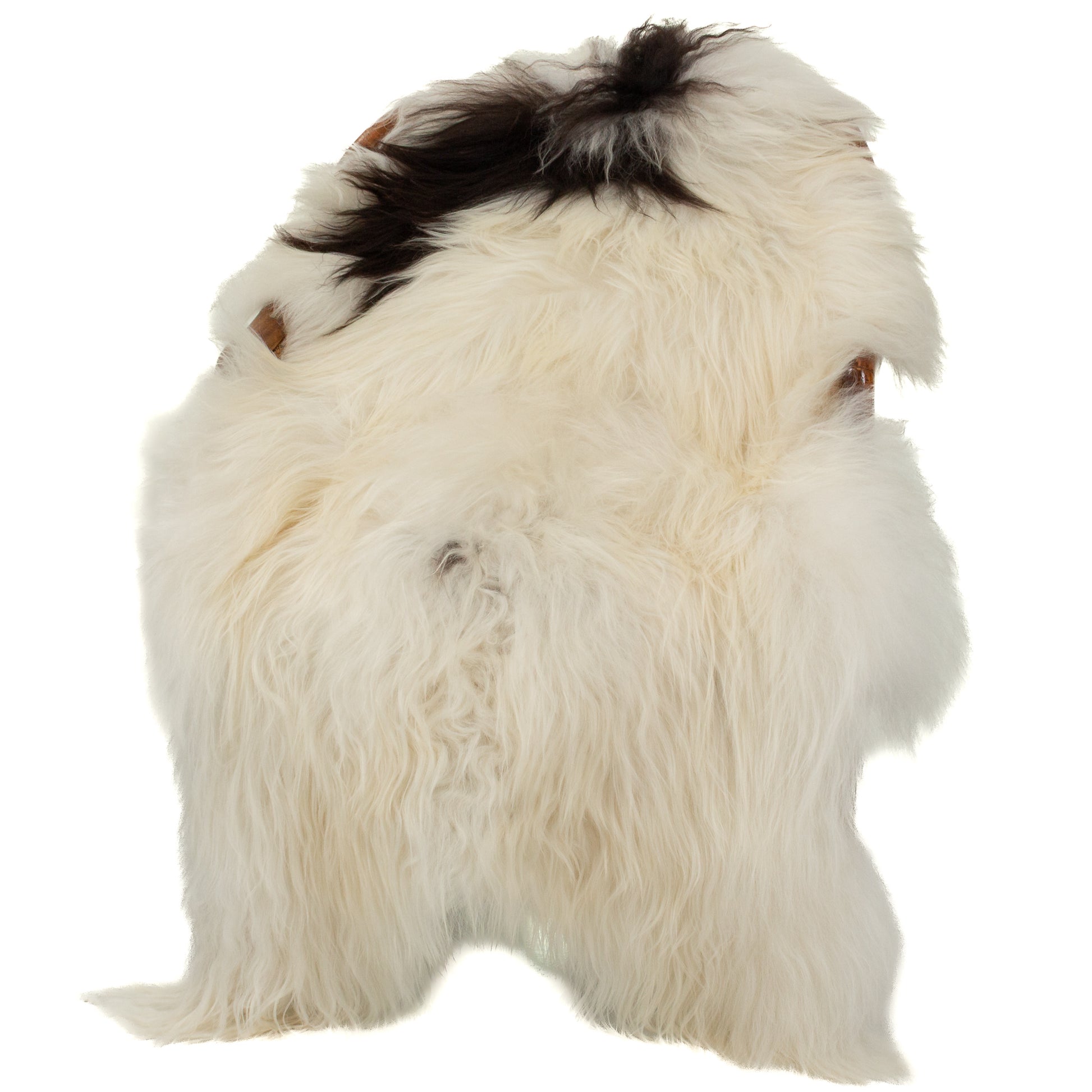 White w Black Spot Icelandic Sheepskin