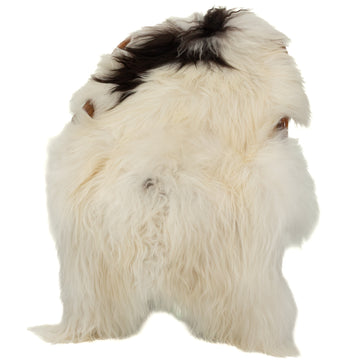 White w Black Spot Icelandic Sheepskin