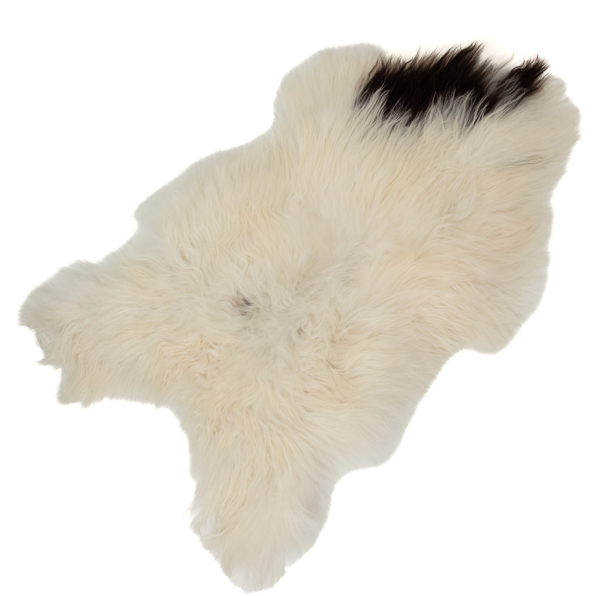 White w Black Spot Icelandic Sheepskin Rug