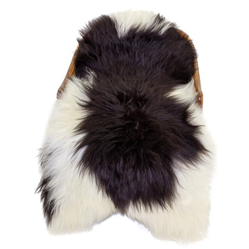Large White w Brown Icelandic Sheepskin