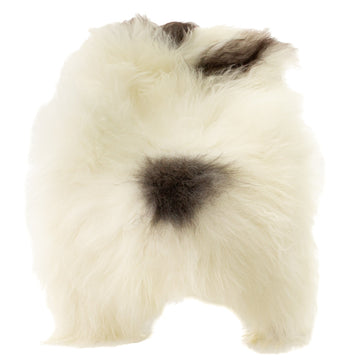 White w Dark Gray Spots Icelandic Sheepskin