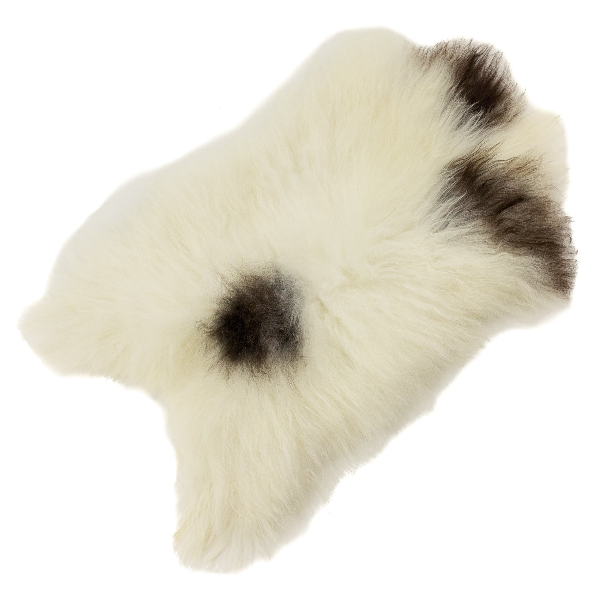 White w Dark Gray Spots Icelandic Sheepskin