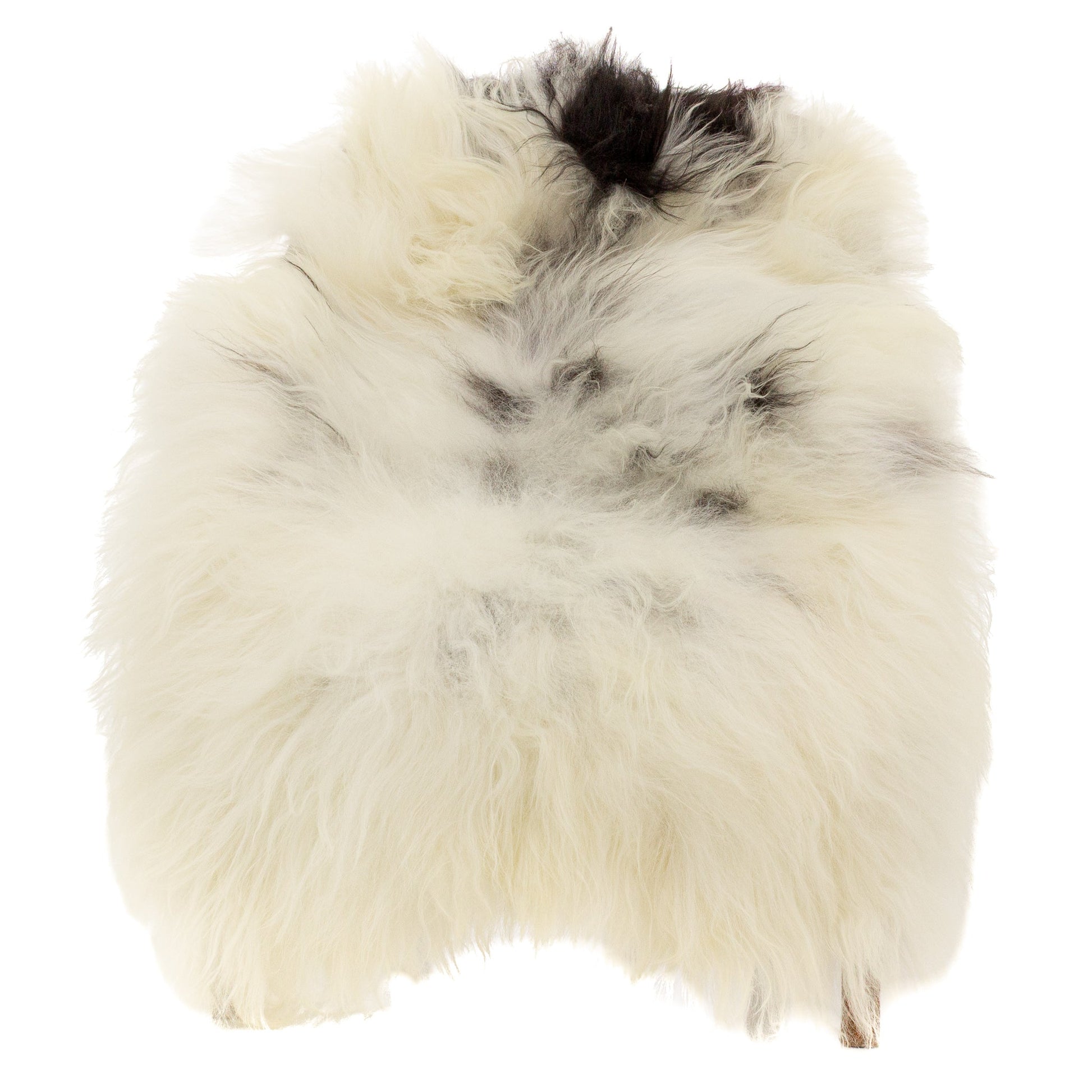White w Gray and Black Icelandic Sheepskin
