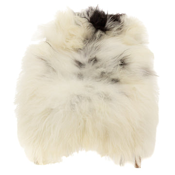 White w Gray and Black Icelandic Sheepskin