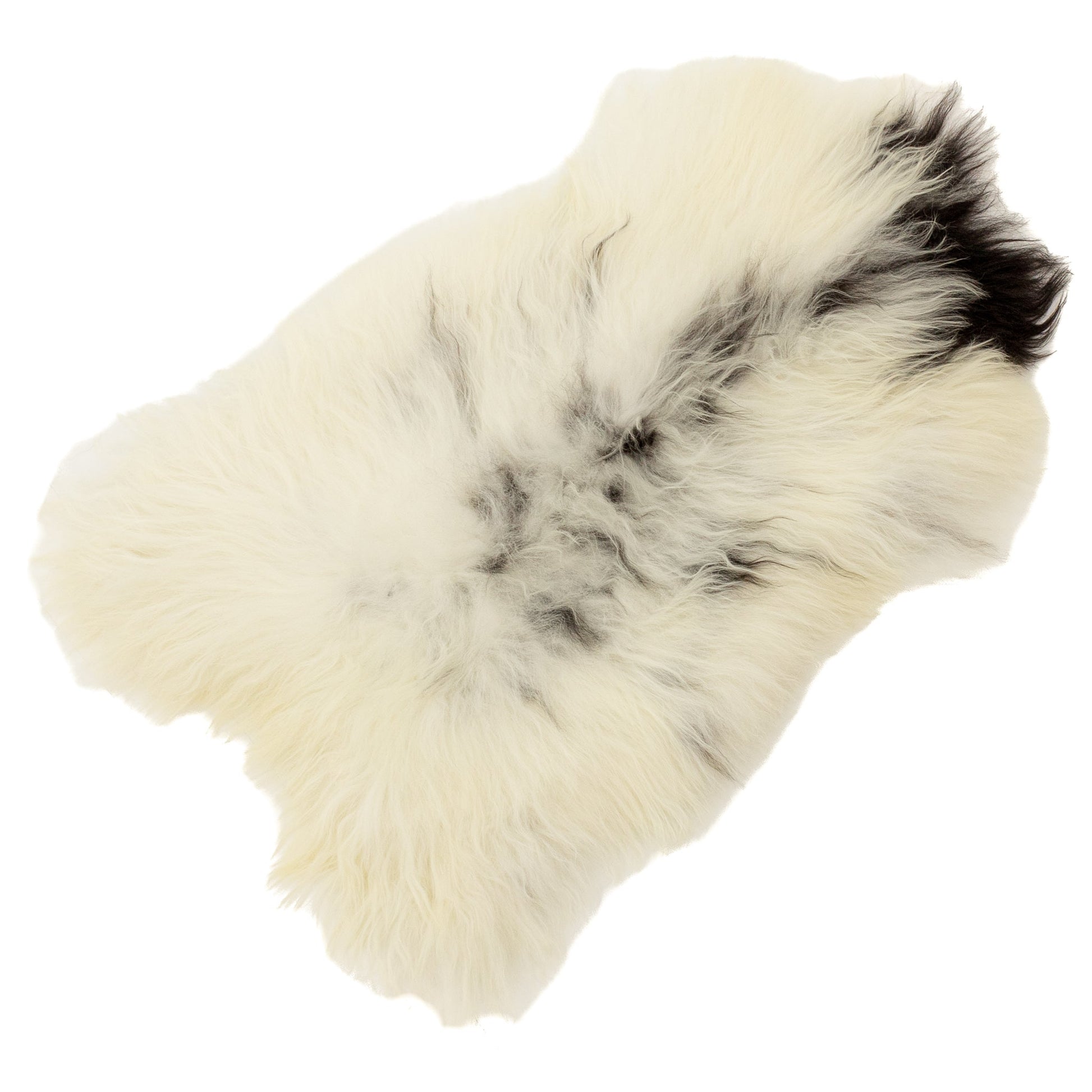 White w Gray and Black Icelandic Sheepskin