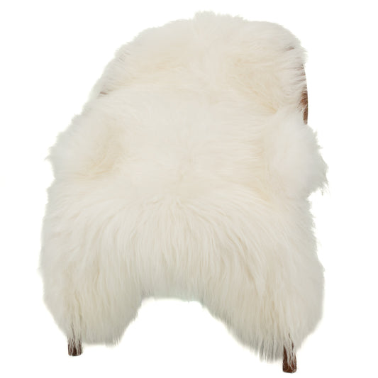 Ivory White Icelandic