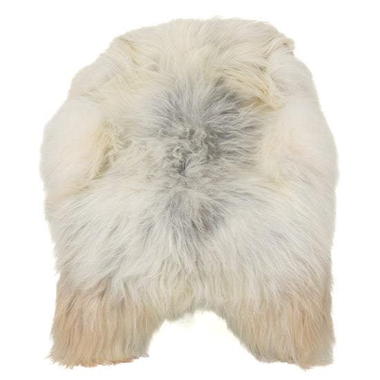 Silver White w Gray Icelandic Sheepskin