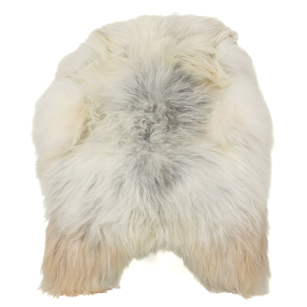 Silver White w Gray Icelandic Sheepskin