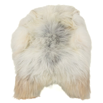 Silver White w Gray Icelandic Sheepskin