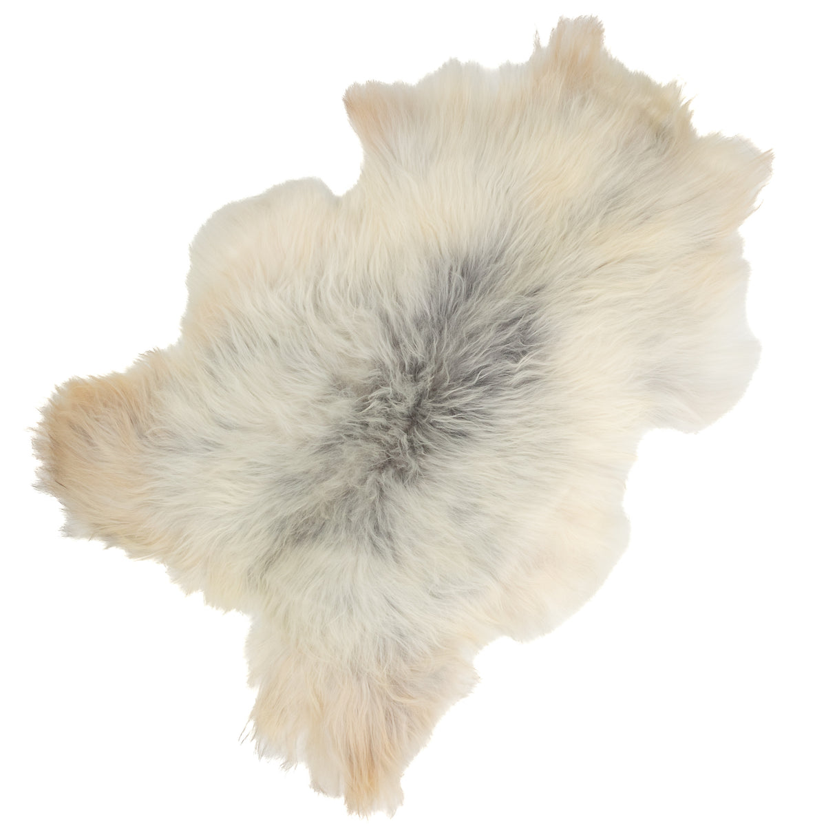 Silver White w Gray Icelandic Sheepskin Rug