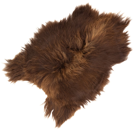 Wide Brown w Some Blonde Icelandic Sheepskin Rug