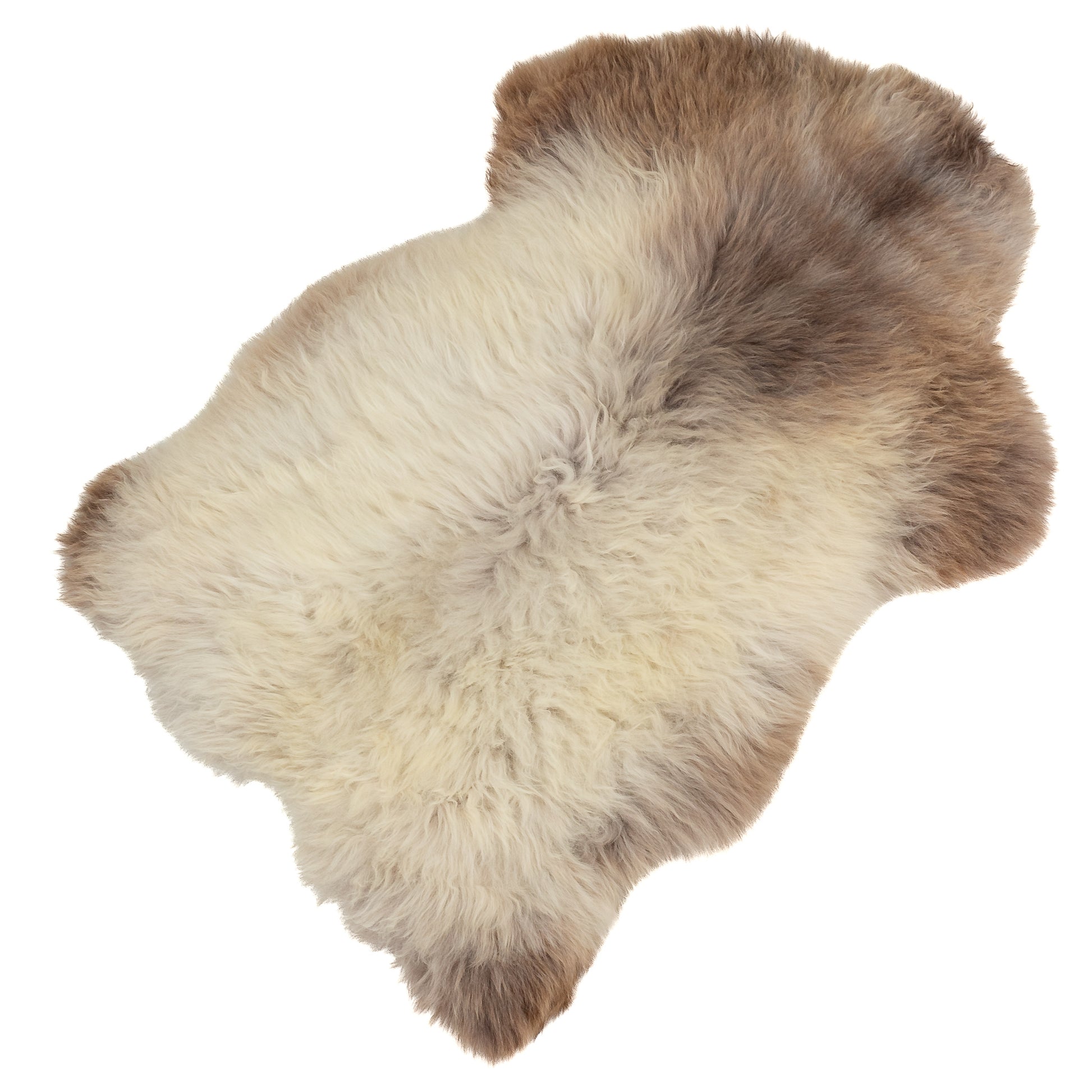 Wide Thick Cushy Creamy White w Light Brown Sheepskin Rug